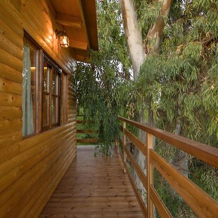 River Treehouse Laganás Eksteriør bilde