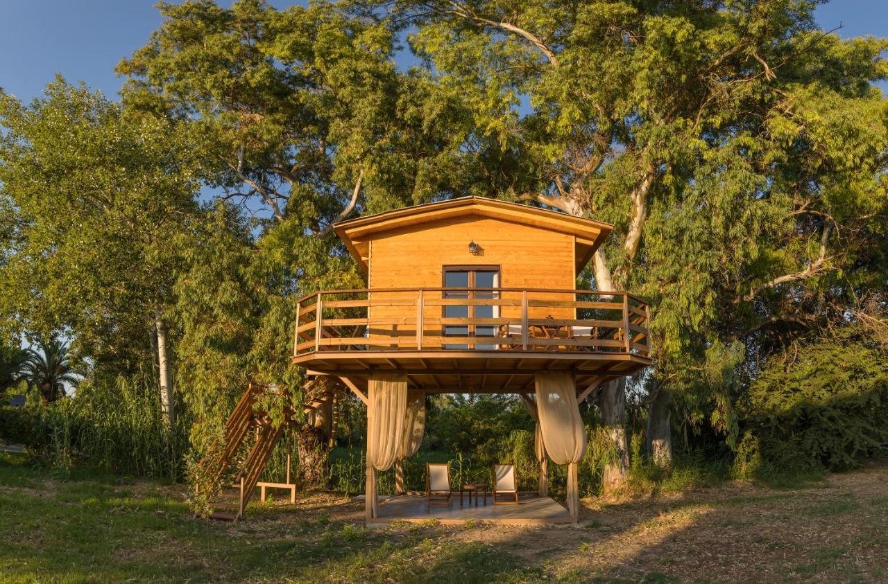 River Treehouse Laganás Eksteriør bilde